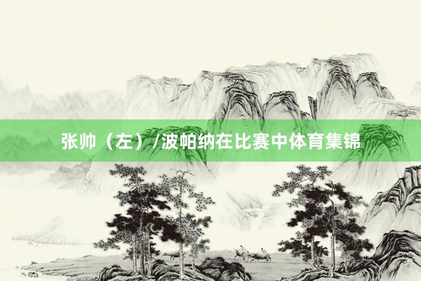 张帅（左）/波帕纳在比赛中体育集锦