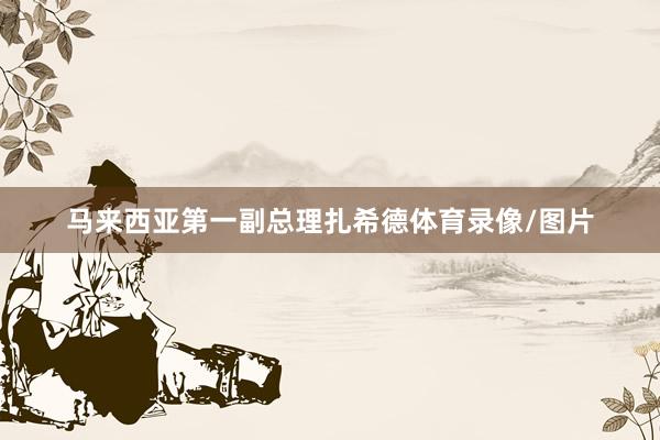 马来西亚第一副总理扎希德体育录像/图片