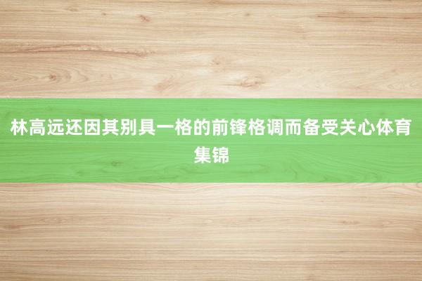 林高远还因其别具一格的前锋格调而备受关心体育集锦