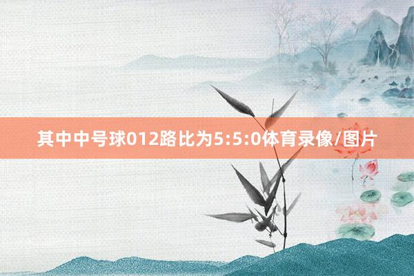 其中中号球012路比为5:5:0体育录像/图片