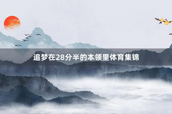 追梦在28分半的本领里体育集锦