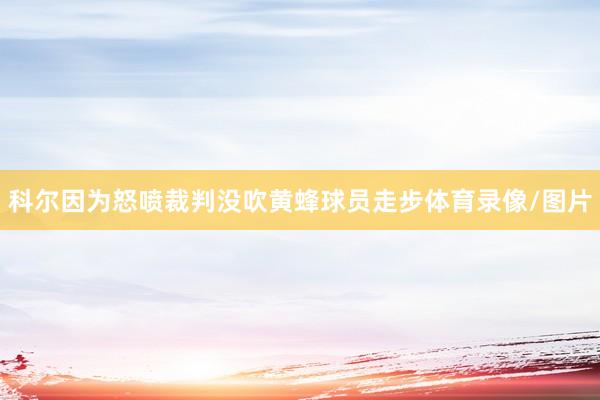 科尔因为怒喷裁判没吹黄蜂球员走步体育录像/图片