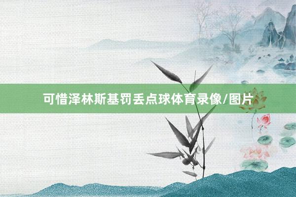 可惜泽林斯基罚丢点球体育录像/图片