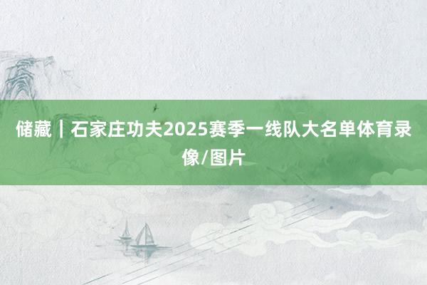 储藏|石家庄功夫2025赛季一线队大名单体育录像/图片