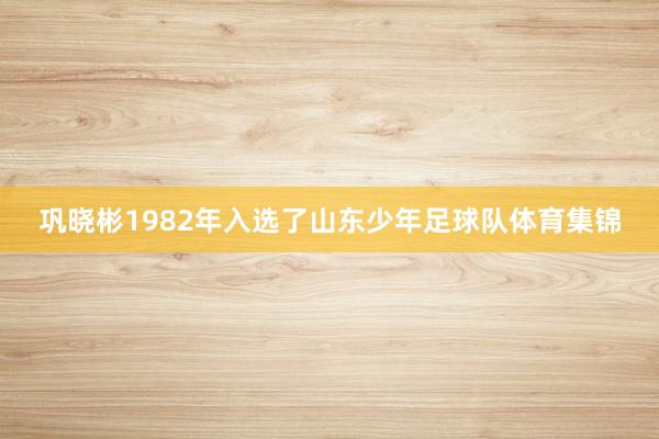 巩晓彬1982年入选了山东少年足球队体育集锦
