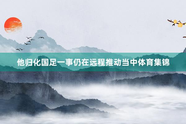 他归化国足一事仍在远程推动当中体育集锦