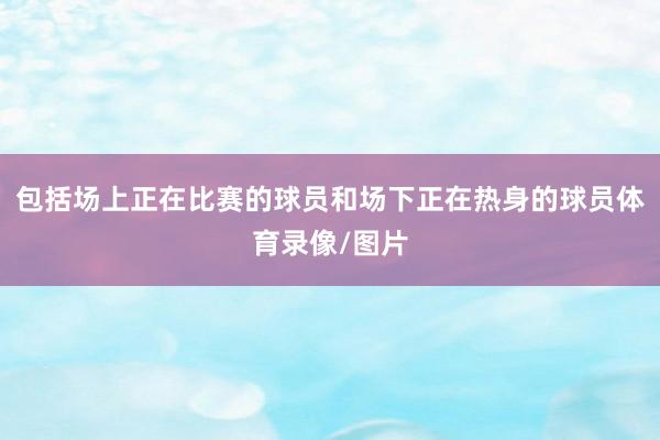 包括场上正在比赛的球员和场下正在热身的球员体育录像/图片