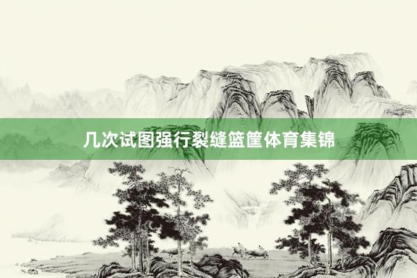 几次试图强行裂缝篮筐体育集锦