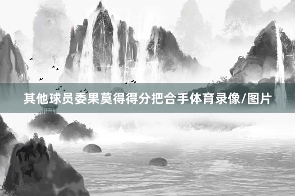其他球员委果莫得得分把合手体育录像/图片