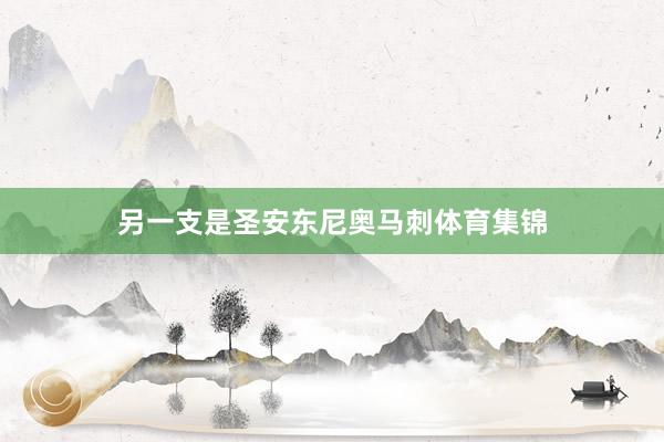 另一支是圣安东尼奥马刺体育集锦