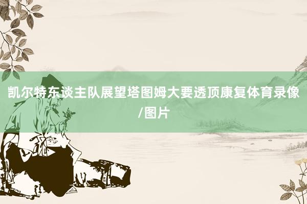 凯尔特东谈主队展望塔图姆大要透顶康复体育录像/图片