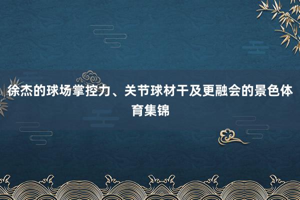 徐杰的球场掌控力、关节球材干及更融会的景色体育集锦