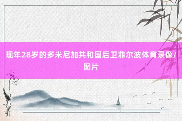 现年28岁的多米尼加共和国后卫菲尔波体育录像/图片