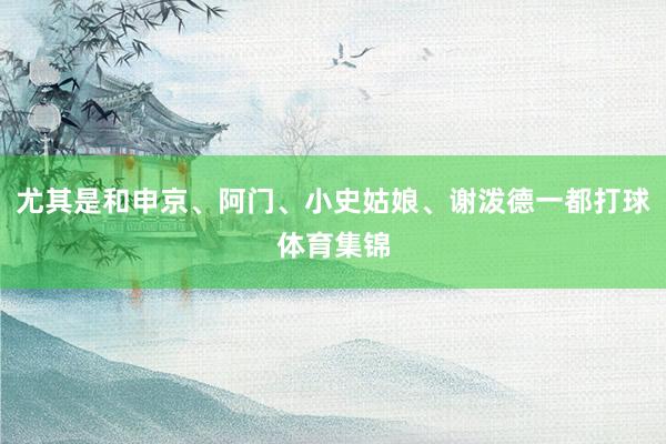 尤其是和申京、阿门、小史姑娘、谢泼德一都打球体育集锦