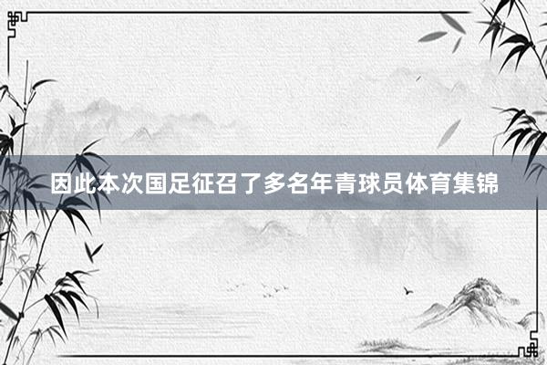 因此本次国足征召了多名年青球员体育集锦