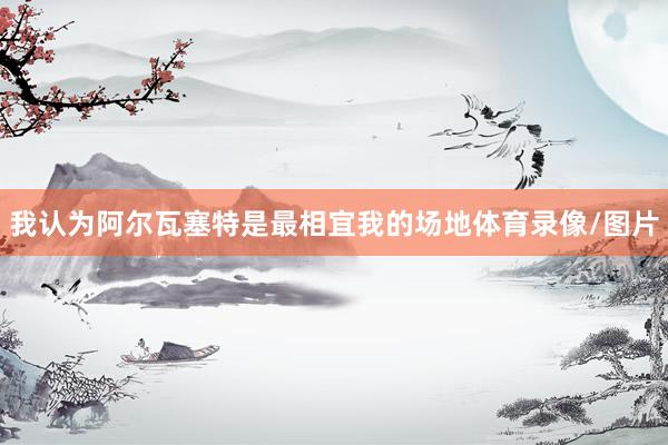 我认为阿尔瓦塞特是最相宜我的场地体育录像/图片