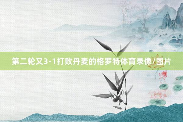 第二轮又3-1打败丹麦的格罗特体育录像/图片