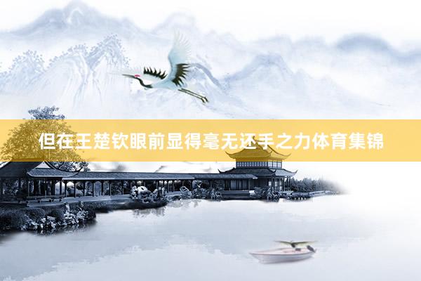 但在王楚钦眼前显得毫无还手之力体育集锦