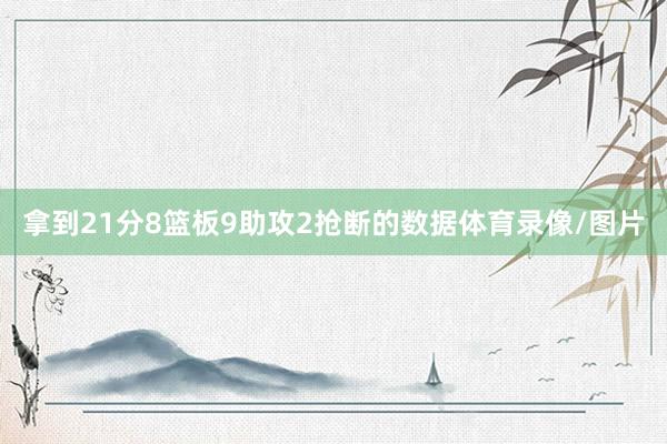 拿到21分8篮板9助攻2抢断的数据体育录像/图片