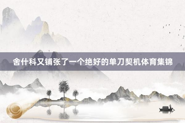 舍什科又铺张了一个绝好的单刀契机体育集锦