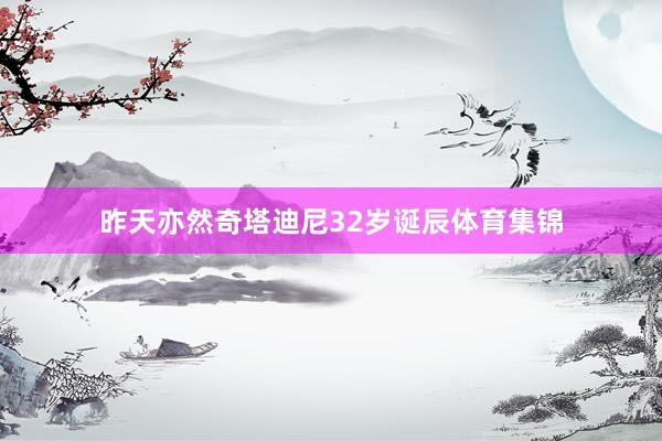 昨天亦然奇塔迪尼32岁诞辰体育集锦