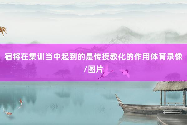 宿将在集训当中起到的是传授教化的作用体育录像/图片