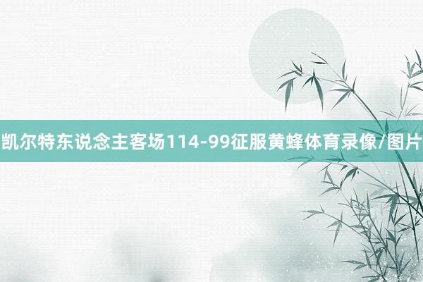 凯尔特东说念主客场114-99征服黄蜂体育录像/图片