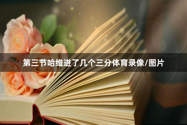第三节哈维进了几个三分体育录像/图片