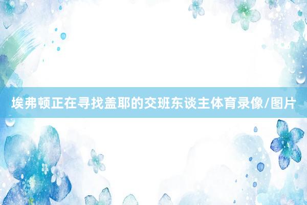 埃弗顿正在寻找盖耶的交班东谈主体育录像/图片