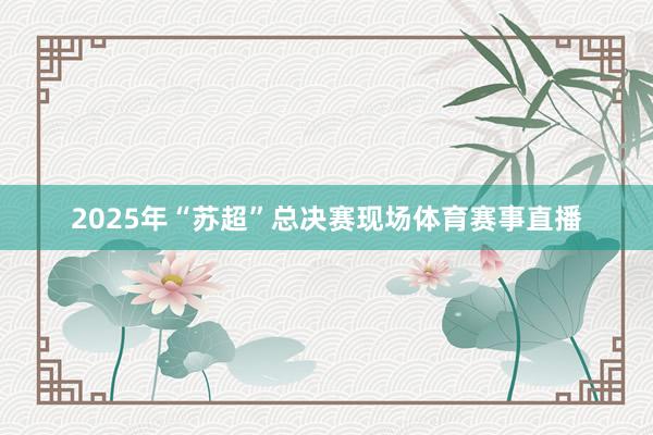 2025年“苏超”总决赛现场体育赛事直播