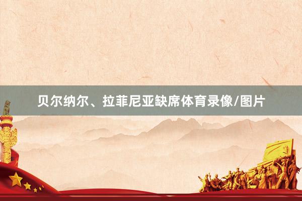 贝尔纳尔、拉菲尼亚缺席体育录像/图片