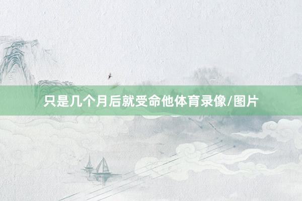 只是几个月后就受命他体育录像/图片