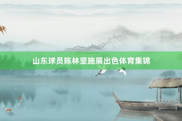 山东球员陈林坚施展出色体育集锦