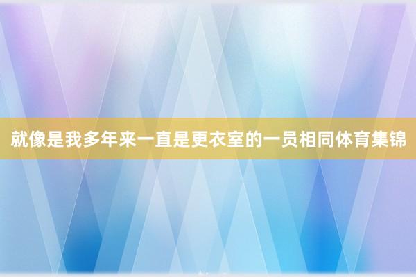 就像是我多年来一直是更衣室的一员相同体育集锦