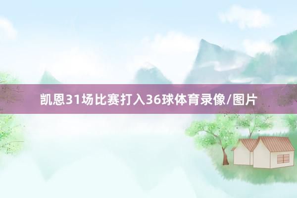 凯恩31场比赛打入36球体育录像/图片