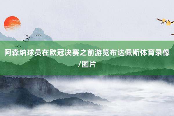 阿森纳球员在欧冠决赛之前游览布达佩斯体育录像/图片