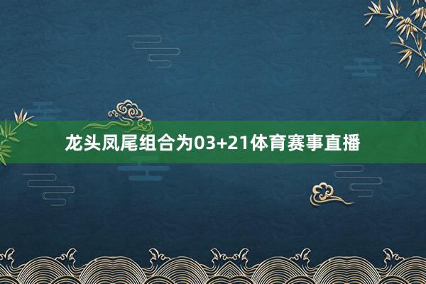 龙头凤尾组合为03+21体育赛事直播