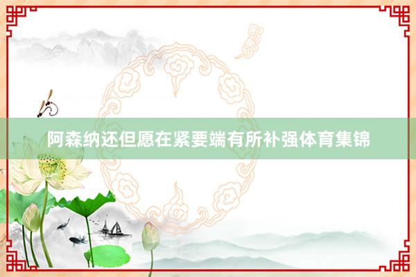 阿森纳还但愿在紧要端有所补强体育集锦